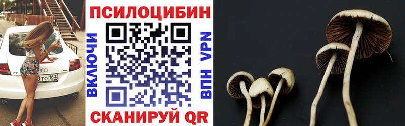 Галлюциногенные грибы Psilocybe  Сысерть 